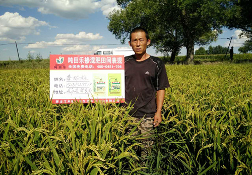 示范田展示 示范田展示